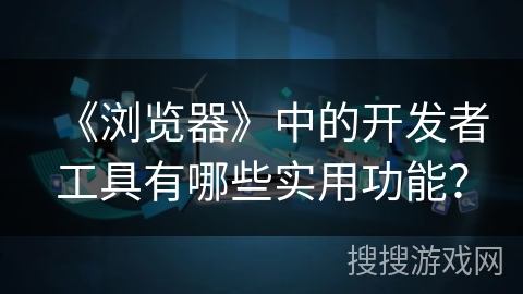 《浏览器》中的开发者工具有哪些实用功能？