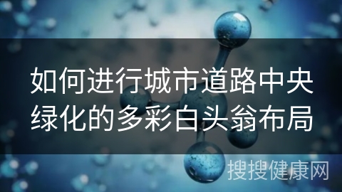 如何进行城市道路中央绿化的多彩白头翁布局