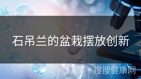 石吊兰的盆栽摆放创新