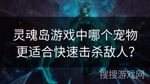 灵魂岛游戏中哪个宠物更适合快速击杀敌人？