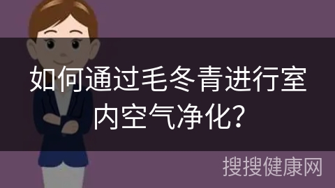 如何通过毛冬青进行室内空气净化？