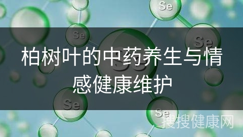 柏树叶的中药养生与情感健康维护