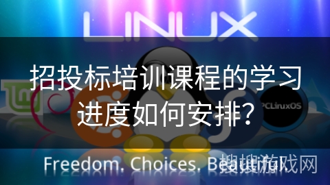 招投标培训课程的学习进度如何安排？