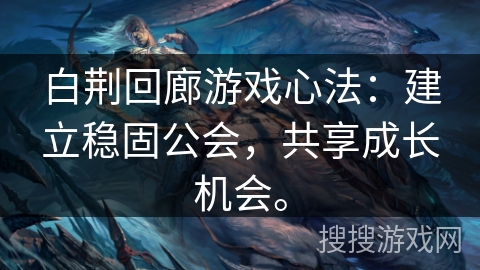 白荆回廊游戏心法：建立稳固公会，共享成长机会。