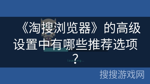 《淘搜浏览器》的高级设置中有哪些推荐选项？