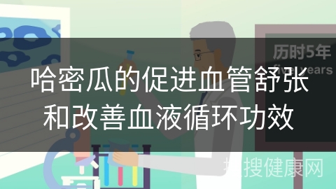 哈密瓜的促进血管舒张和改善血液循环功效