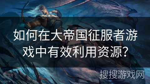如何在大帝国征服者游戏中有效利用资源？