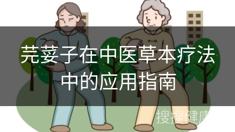 芫荽子在中医草本疗法中的应用指南