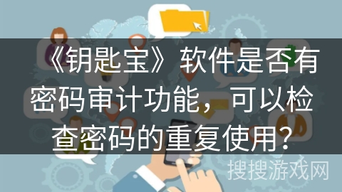 《钥匙宝》软件是否有密码审计功能，可以检查密码的重复使用？