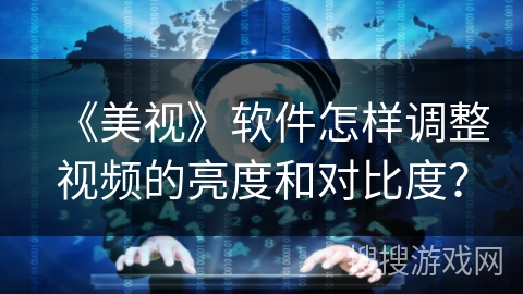 《美视》软件怎样调整视频的亮度和对比度？