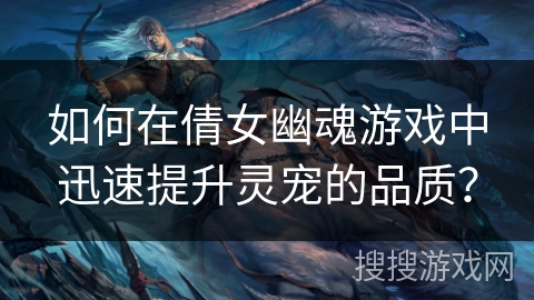 如何在倩女幽魂游戏中迅速提升灵宠的品质？