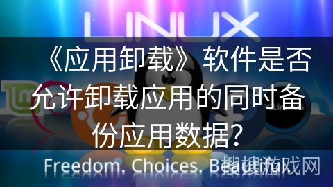 《应用卸载》软件是否允许卸载应用的同时备份应用数据？