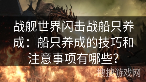 战舰世界闪击战船只养成：船只养成的技巧和注意事项有哪些？