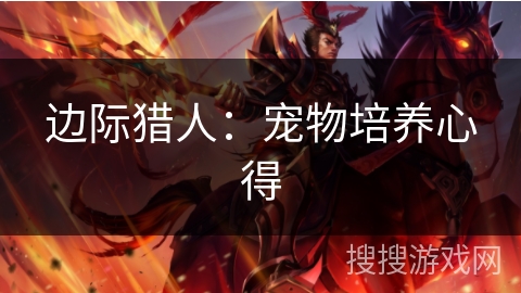 边际猎人：宠物培养心得