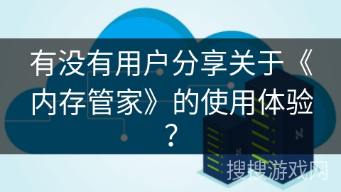 有没有用户分享关于《内存管家》的使用体验？
