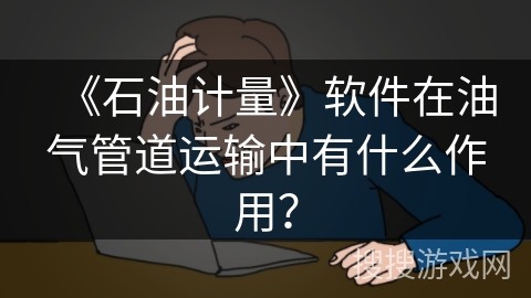 《石油计量》软件在油气管道运输中有什么作用？