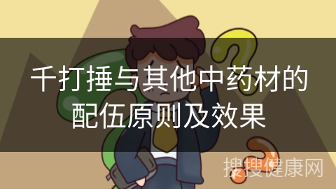 千打捶与其他中药材的配伍原则及效果