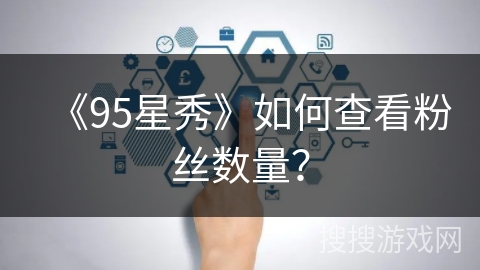 《95星秀》如何查看粉丝数量？