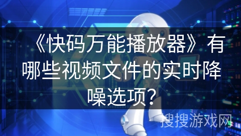 《快码万能播放器》有哪些视频文件的实时降噪选项？