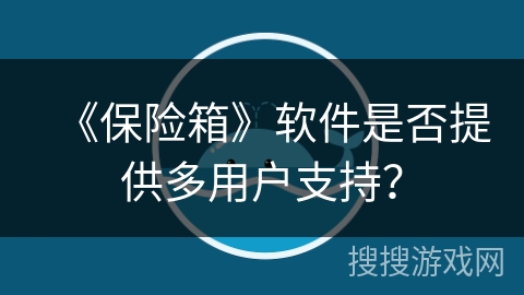 《保险箱》软件是否提供多用户支持？