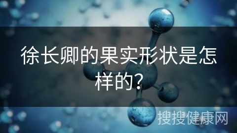 徐长卿的果实形状是怎样的？