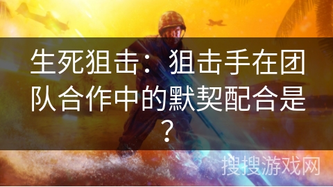 生死狙击：狙击手在团队合作中的默契配合是？