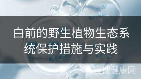 白前的野生植物生态系统保护措施与实践