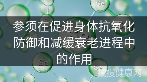 参须在促进身体抗氧化防御和减缓衰老进程中的作用