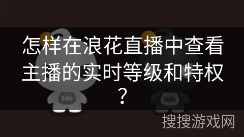 怎样在浪花直播中查看主播的实时等级和特权？