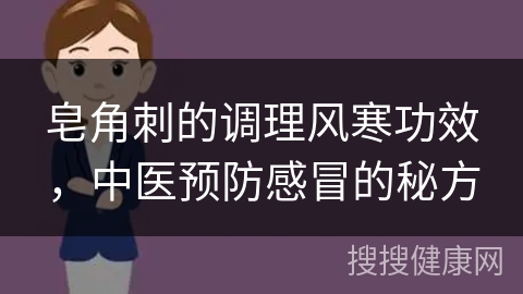 皂角刺的调理风寒功效，中医预防感冒的秘方