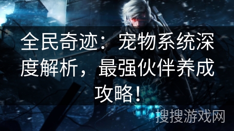 全民奇迹：宠物系统深度解析，最强伙伴养成攻略！