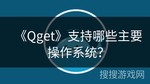 《Qget》支持哪些主要操作系统？