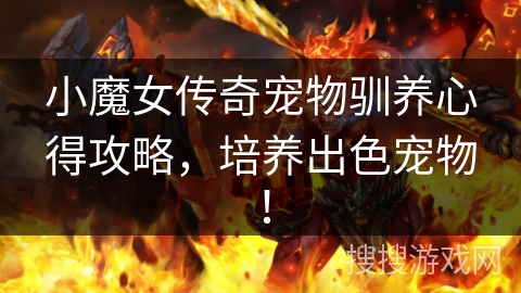 小魔女传奇宠物驯养心得攻略，培养出色宠物！