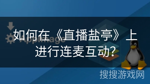 如何在《直播盐亭》上进行连麦互动？