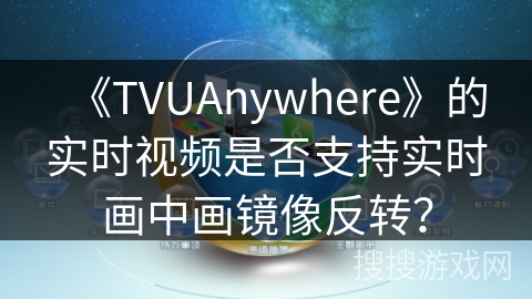 《TVUAnywhere》的实时视频是否支持实时画中画镜像反转？