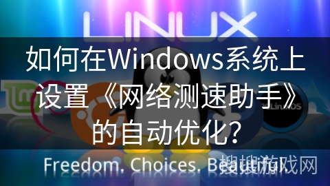 如何在Windows系统上设置《网络测速助手》的自动优化？