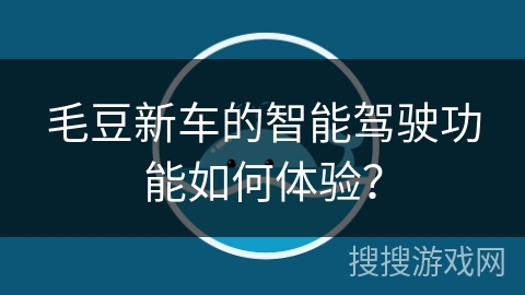 毛豆新车的智能驾驶功能如何体验？