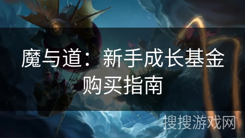 魔与道：新手成长基金购买指南