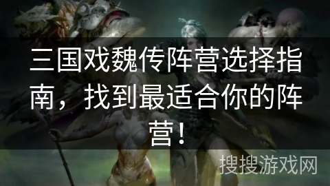 三国戏魏传阵营选择指南，找到最适合你的阵营！
