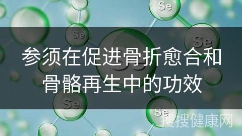 参须在促进骨折愈合和骨骼再生中的功效