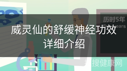 威灵仙的舒缓神经功效详细介绍