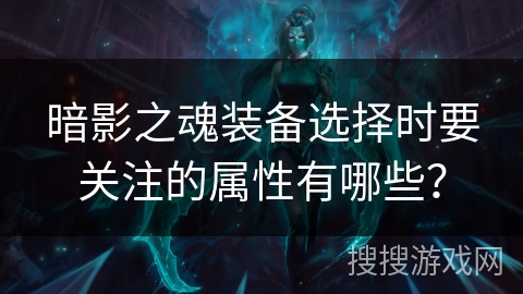 暗影之魂装备选择时要关注的属性有哪些？