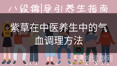 紫草在中医养生中的气血调理方法