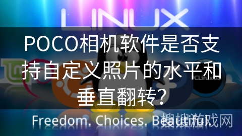 POCO相机软件是否支持自定义照片的水平和垂直翻转？