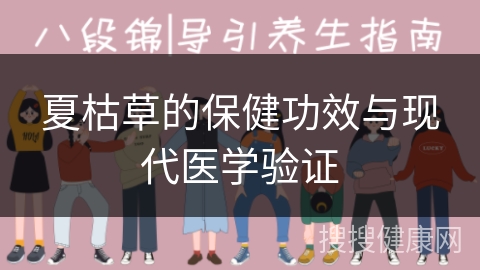 夏枯草的保健功效与现代医学验证