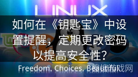 如何在《钥匙宝》中设置提醒，定期更改密码以提高安全性？