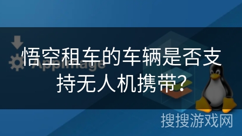 悟空租车的车辆是否支持无人机携带？