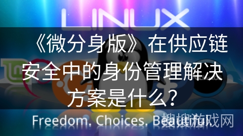 《微分身版》在供应链安全中的身份管理解决方案是什么? 《微分身版》在供应链安全中的身份管理解决方案是什么?