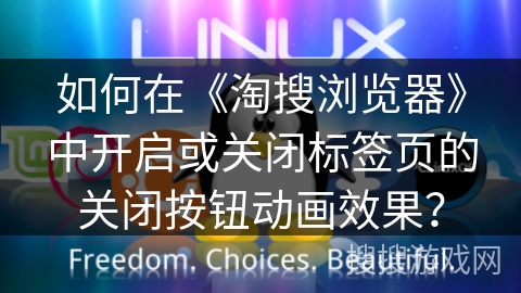 如何在《淘搜浏览器》中开启或关闭标签页的关闭按钮动画效果？