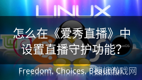 怎么在《爱秀直播》中设置直播守护功能？